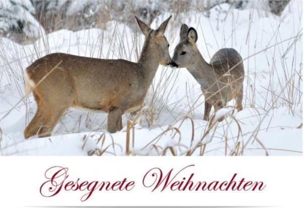 Unbenannt In der Zeit vom 22.12.2025 bis 09.01.2026 bleibt unsere Geschäftsstelle geschlossen. Sie erreichen uns wieder ab dem 12.01.2026.